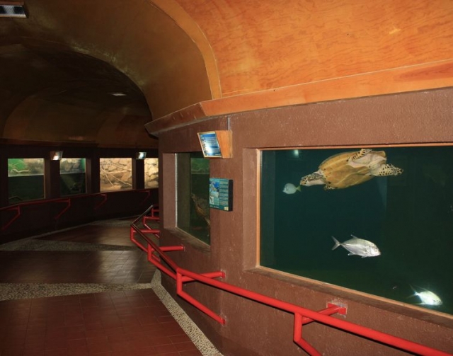 Exposicion submarina